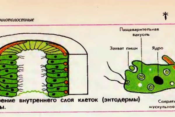 Как перевести рубли в биткоины на меге